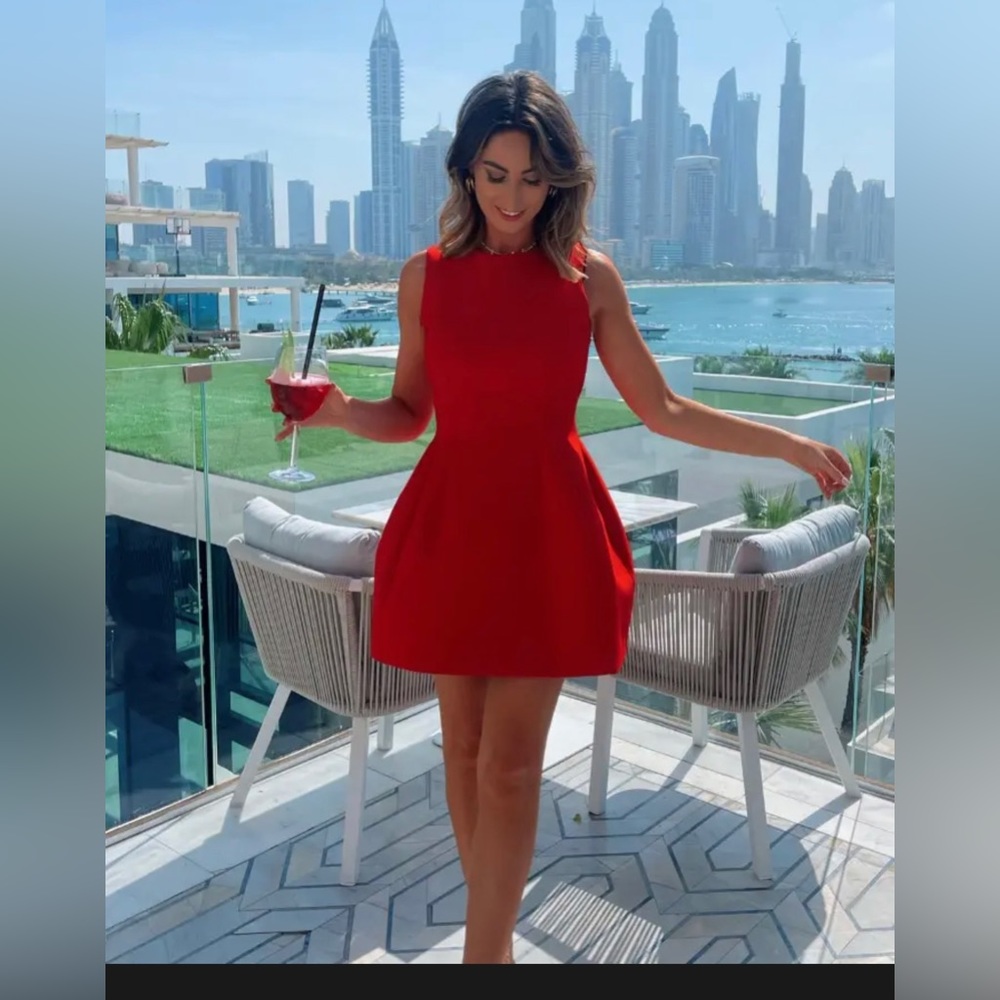 COPY - Zara viral dress - Picture 2 of 6